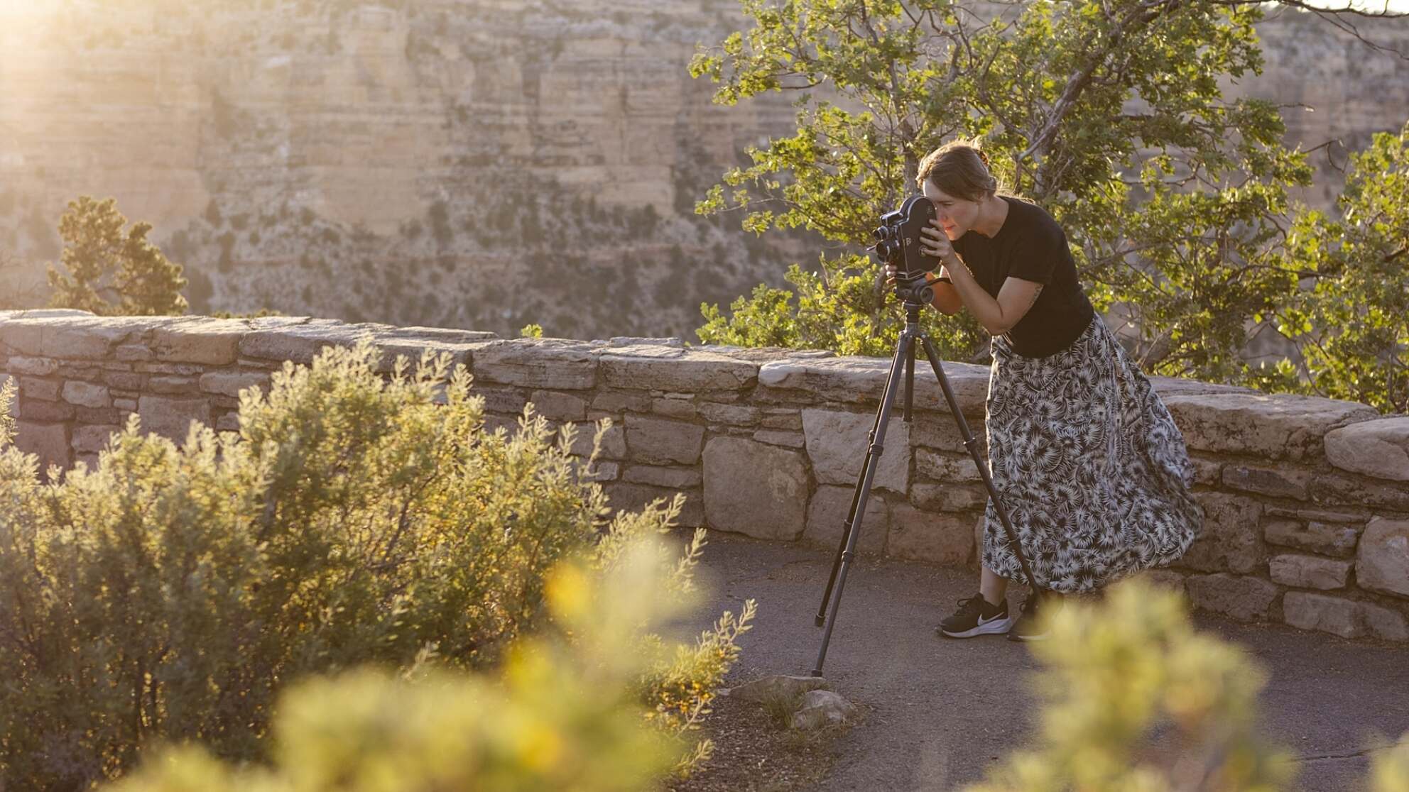 Grand Canyon National Park offers an artist in residency program. Due: July 15.